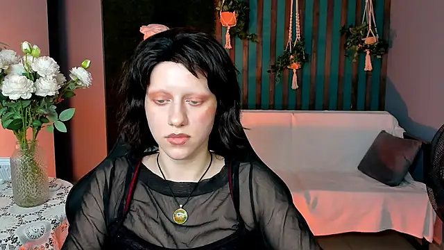 LidaDarknet webcam