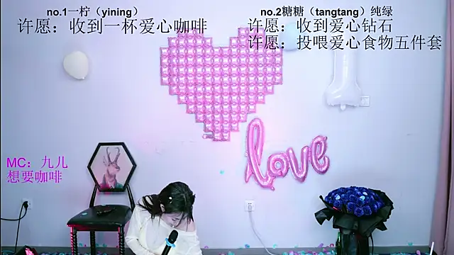 CCTW-100 webcam