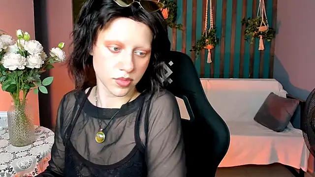 LidaDarknet webcam