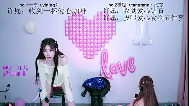 CCTW-100 webcam