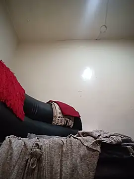 AvaChannel webcam