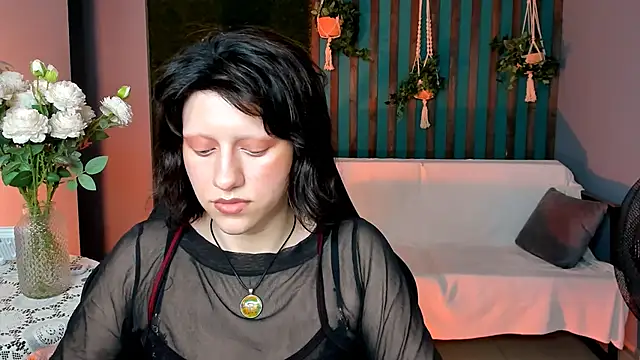 LidaDarknet webcam