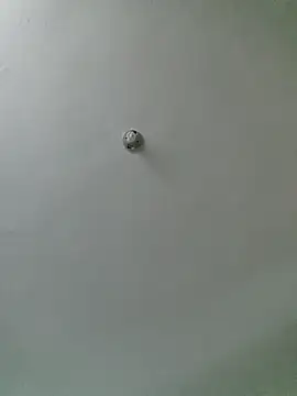 tropikboy webcam