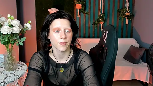 LidaDarknet webcam