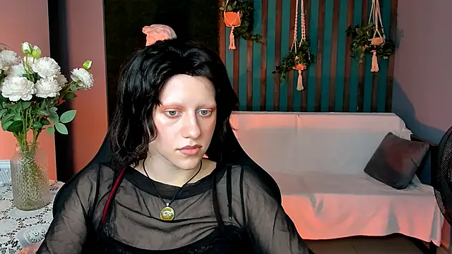 LidaDarknet webcam