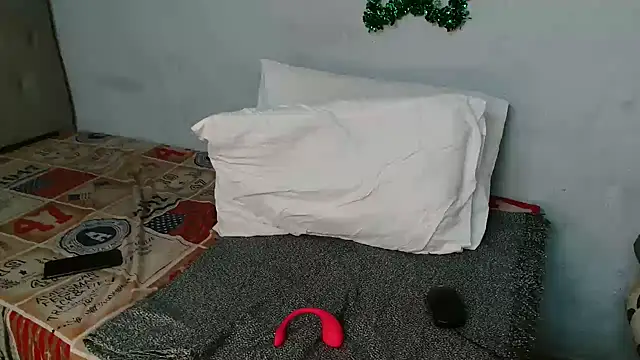 MelowD_2 webcam
