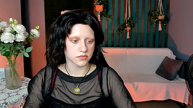 LidaDarknet webcam