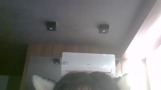 SkinnyKitten webcam