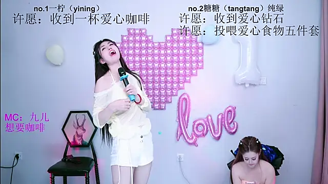 CCTW-100 webcam