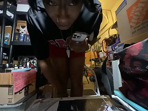 wynterheat webcam