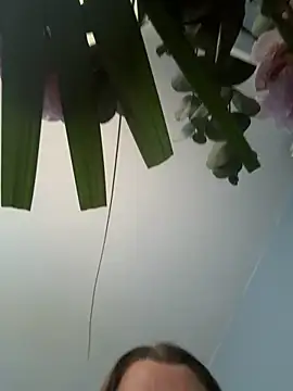 BeeMay22 webcam