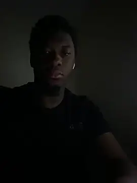 ThickDic28 webcam