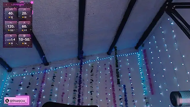PixelKiss_ webcam