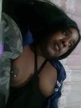 Hellentrans24 webcam