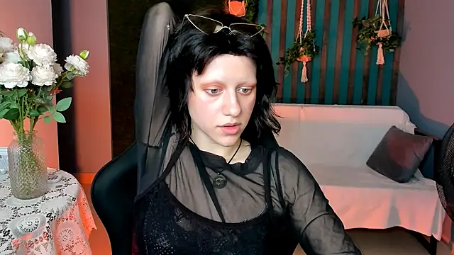 LidaDarknet webcam