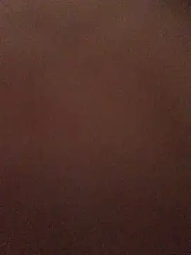 AlevNaz webcam