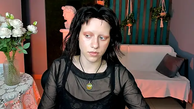 LidaDarknet webcam