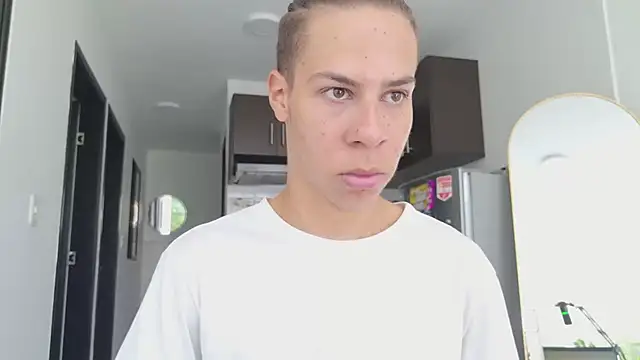 grey___27 webcam