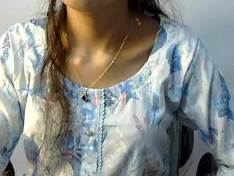 Mehaak_ webcam