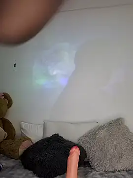 Foxylisaflores webcam