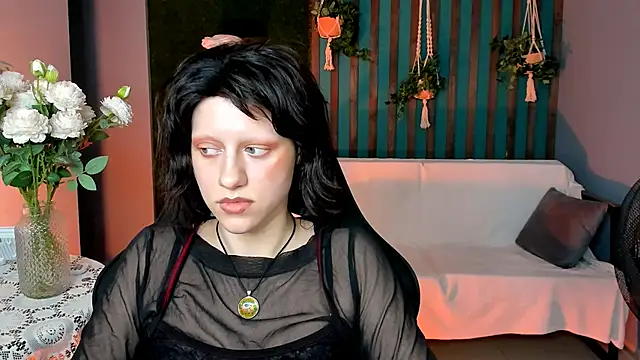 LidaDarknet webcam