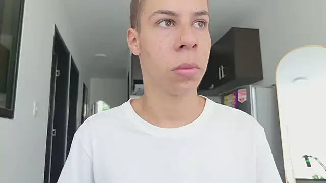 grey___27 webcam