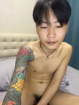 KKX808 webcam