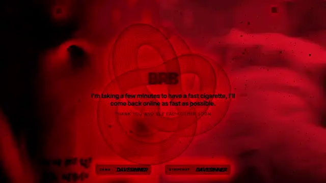 davesinner webcam
