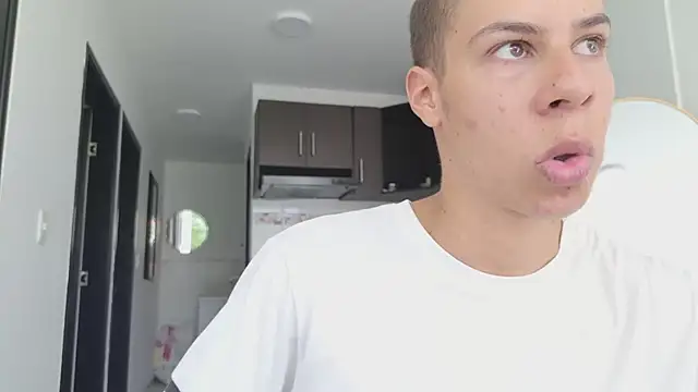 grey___27 webcam
