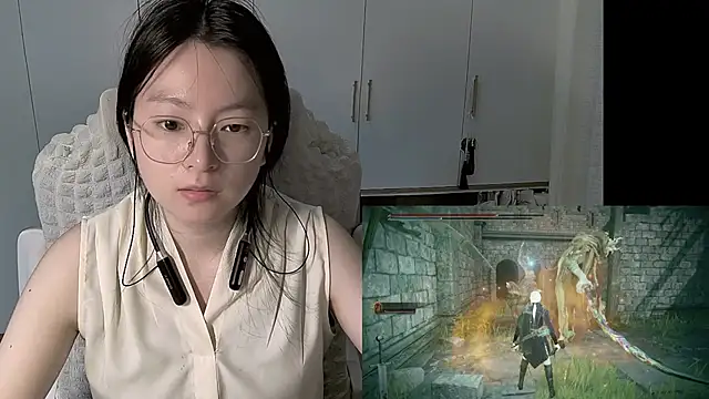 Erya-369 webcam