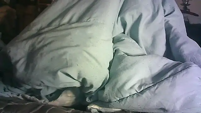 _P3RKY_IMMORTAL3_FIR3_ webcam