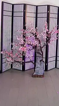 ouyanyan webcam