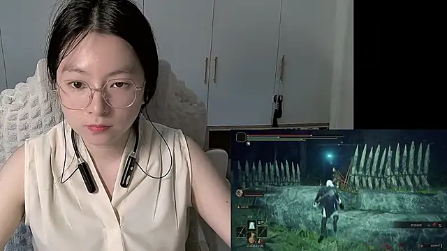 Erya-369 webcam