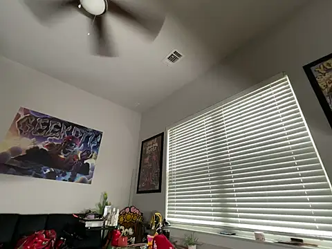 4EVAGLACIERS webcam