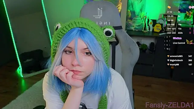zelda_1 webcam