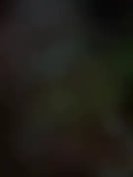 sexbraasil webcam
