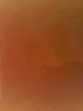 DarkfleX webcam