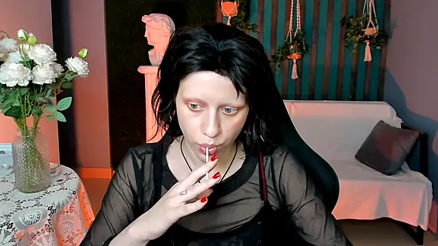 LidaDarknet webcam