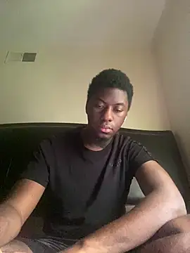 ThickDic28 webcam
