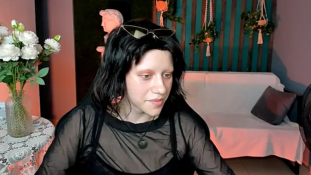 LidaDarknet webcam