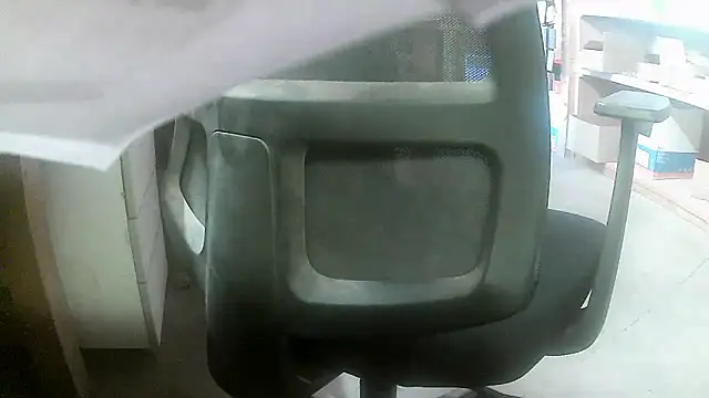 Cygnus58topchef webcam