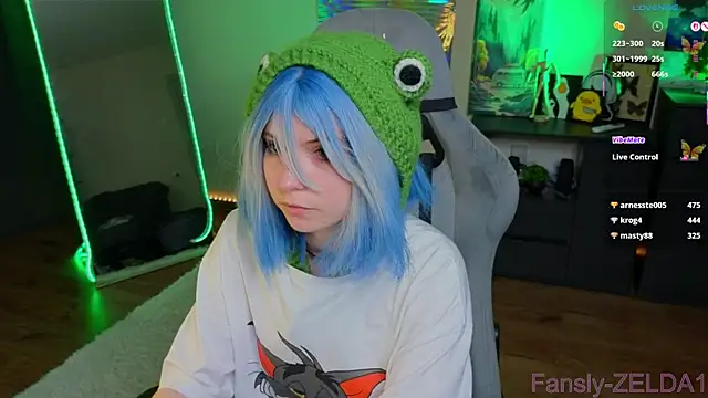 zelda_1 webcam