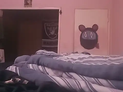 Blkstylion webcam
