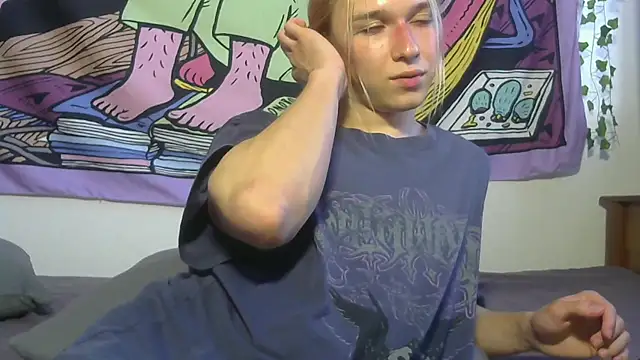 icebenz webcam