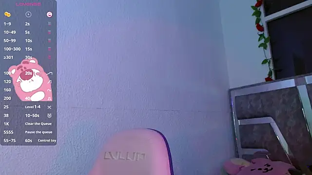 Destiny_A webcam