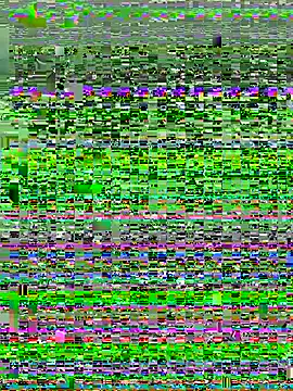 camelia3 webcam