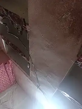 Deepjakolirr webcam