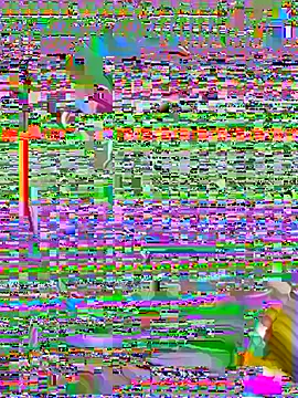 camelia3 webcam
