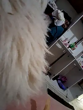 japosamel webcam