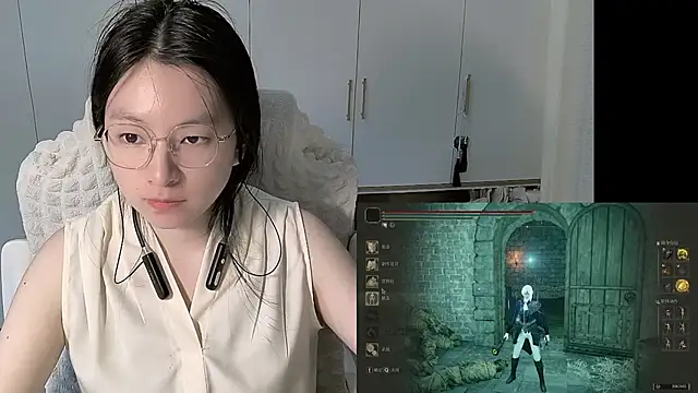 Erya-369 webcam